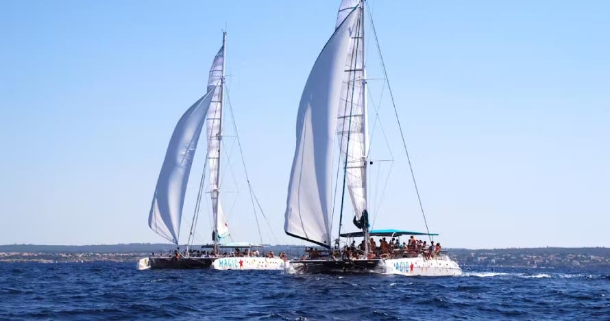 Salida en catamarán en la Bahía de Palma