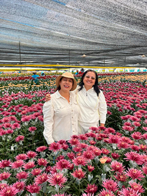 Tour Artesanal: Guatapé, Cerámica y Flores