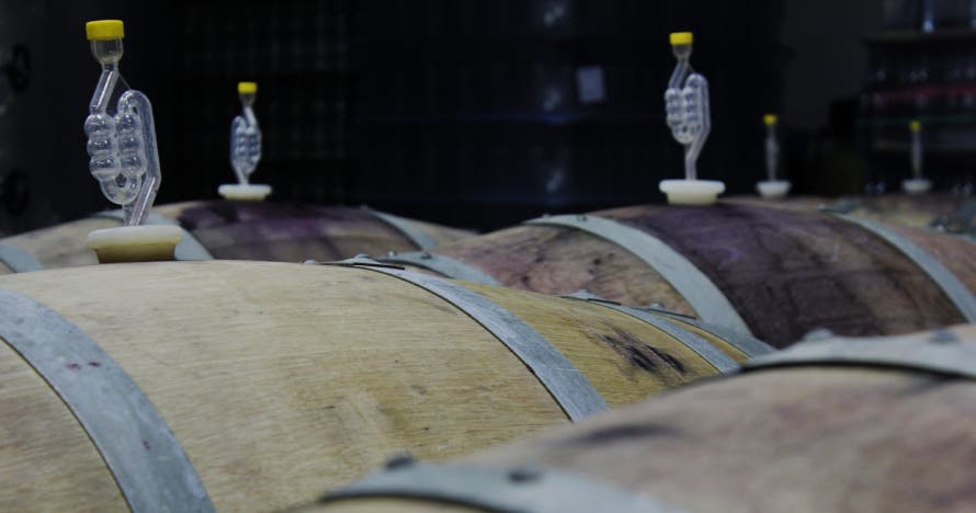 Cata entre viñas viejas con Bodegas Decorus