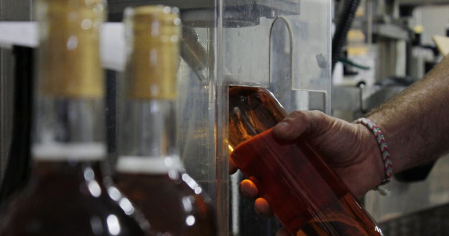 Cata entre viñas viejas con Bodegas Decorus