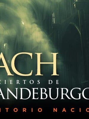 CONCIERTOS DE BRANDEBURGO DE BACH (II)