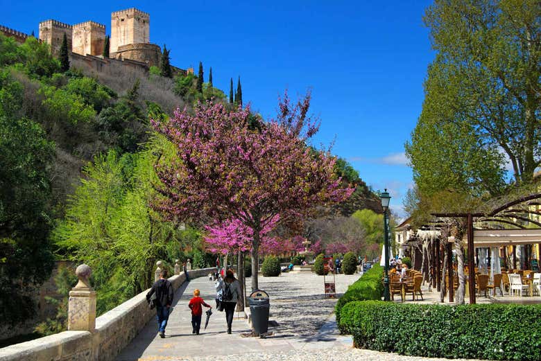 Free tour por el Albaicín y el Sacromonte