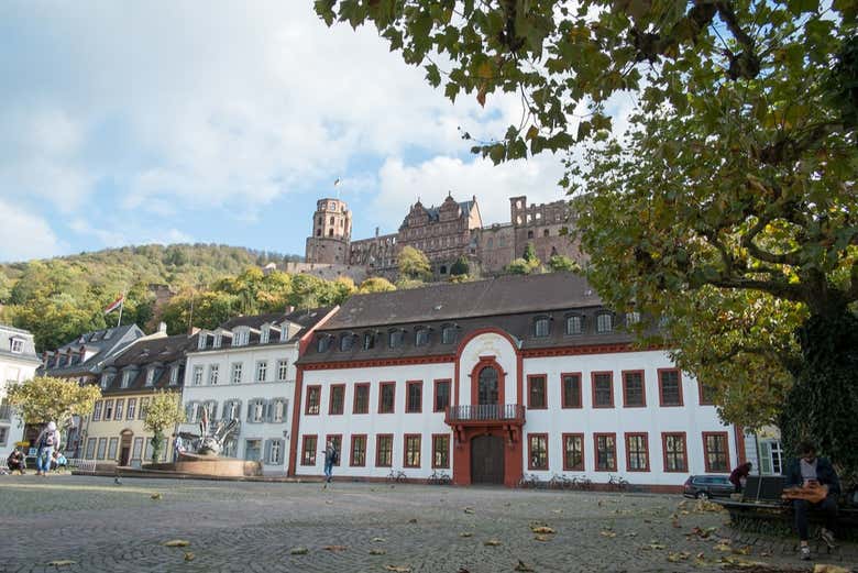 Excursión a Heidelberg en tren