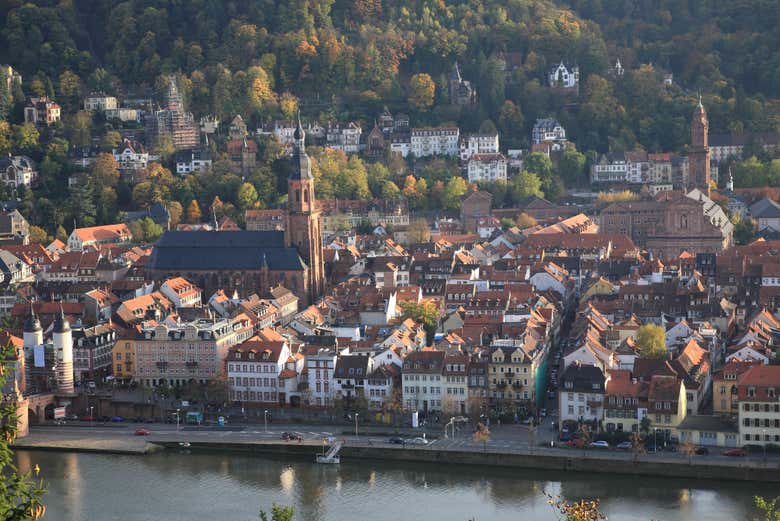 Excursión a Heidelberg en tren
