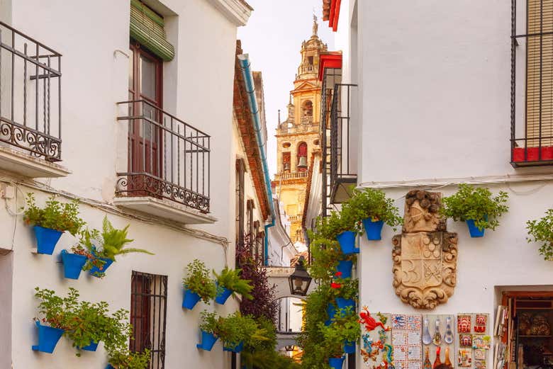 Visita guiada por la Mezquita y la Judería