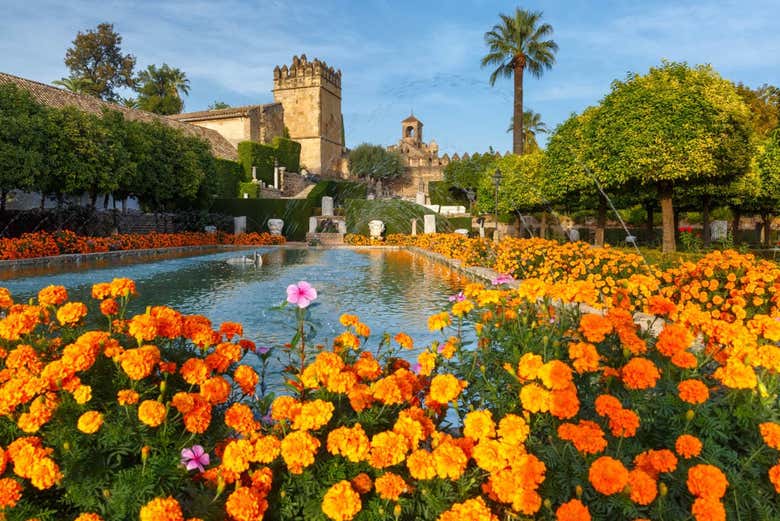 Visita guiada por la Mezquita y el Alcázar