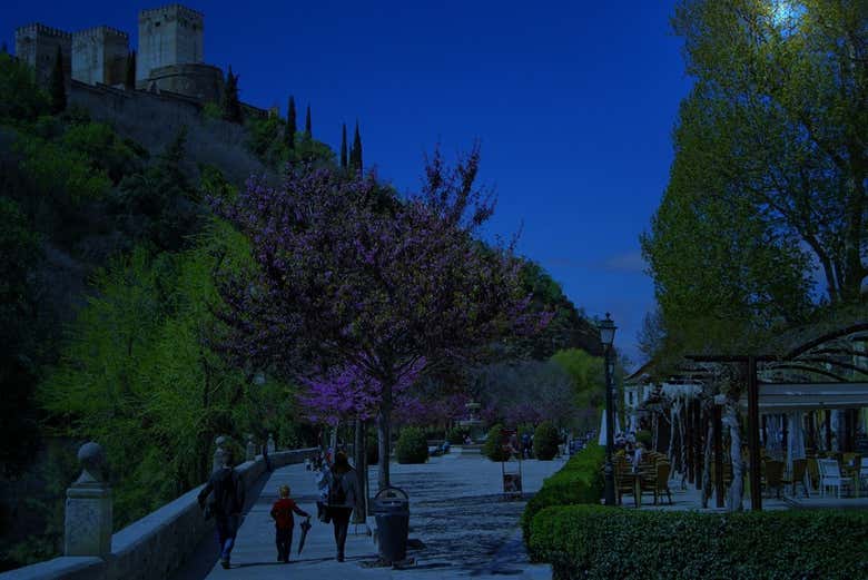 Free tour de los misterios y leyendas de Granada