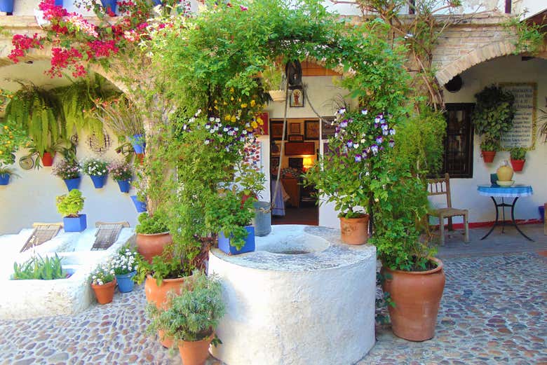 Tour privado por los Patios de Córdoba
