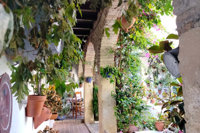 Tour privado por los Patios de Córdoba