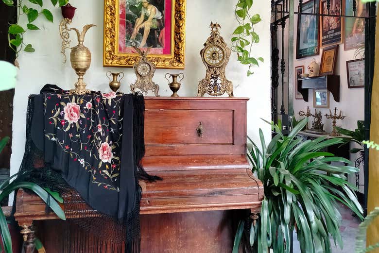 Tour privado por los Patios de Córdoba