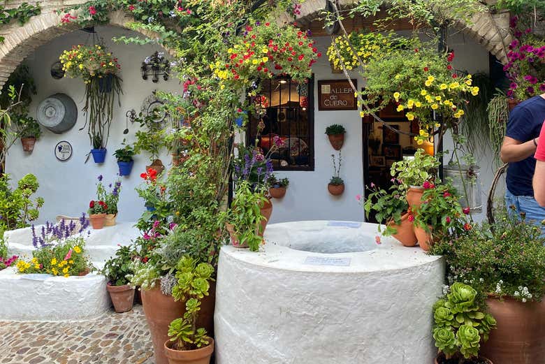 Tour privado por los Patios de Córdoba