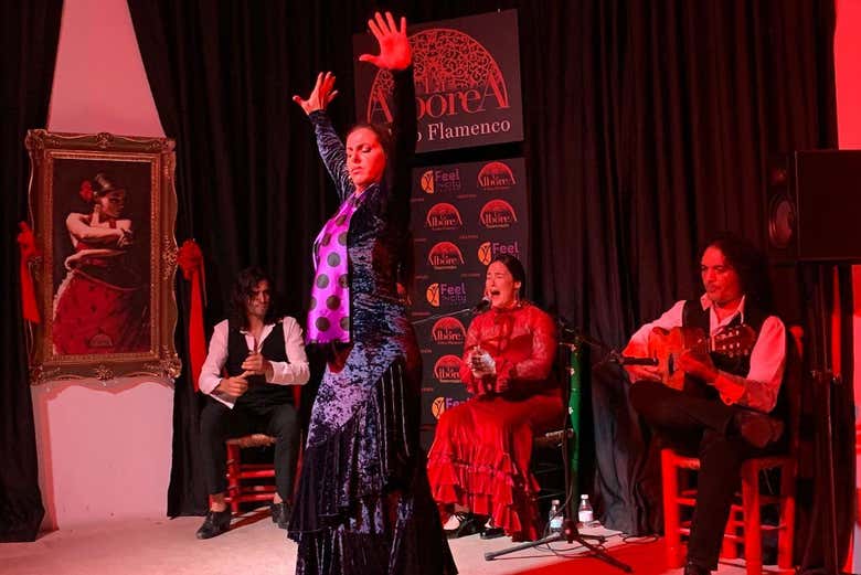 Espectáculo flamenco en La Alboreá