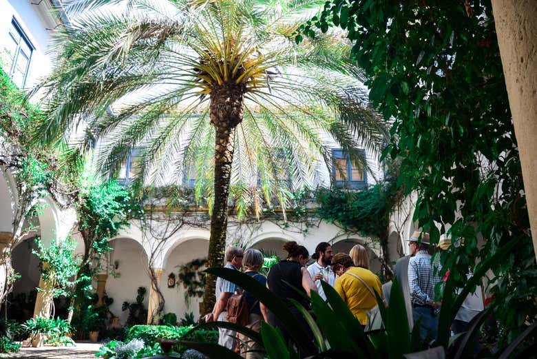 Visita del Palacio de Viana y sus patios