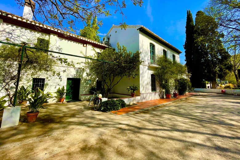 Free tour de Federico García Lorca