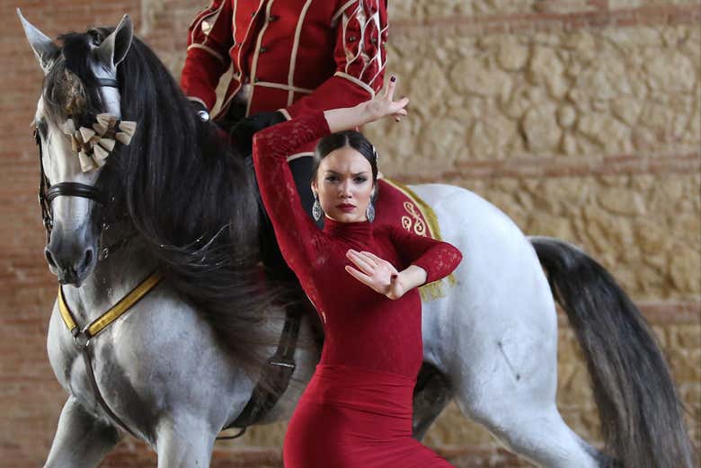 Espectáculo ecuestre en las Caballerizas Reales