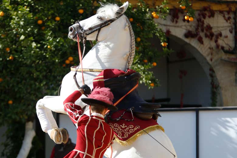 Espectáculo ecuestre en las Caballerizas Reales