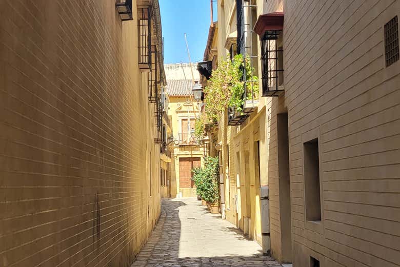 Tour por la judería de Sevilla