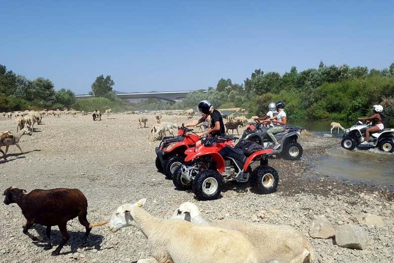 Tour en quad por el río Guadalhorce