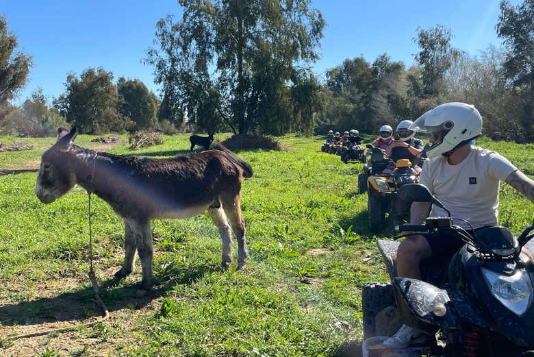 Tour en quad por el río Guadalhorce