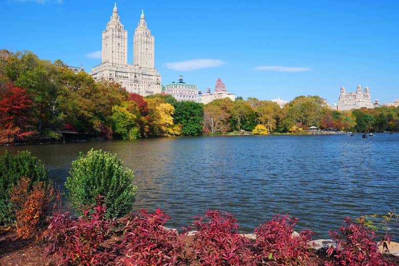 Tour en bicicleta por Central Park