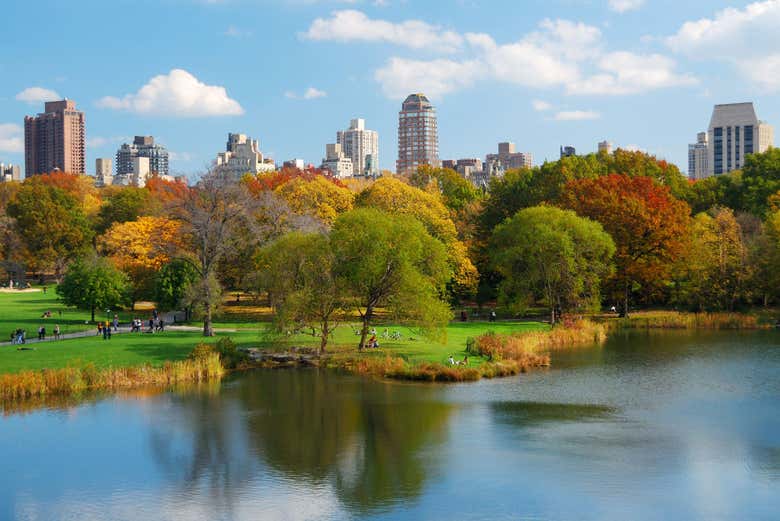 Tour en bicicleta por Central Park