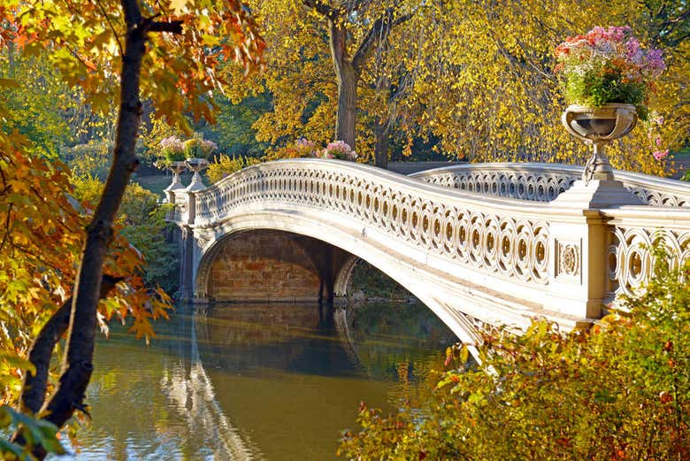 Tour en bicicleta por Central Park