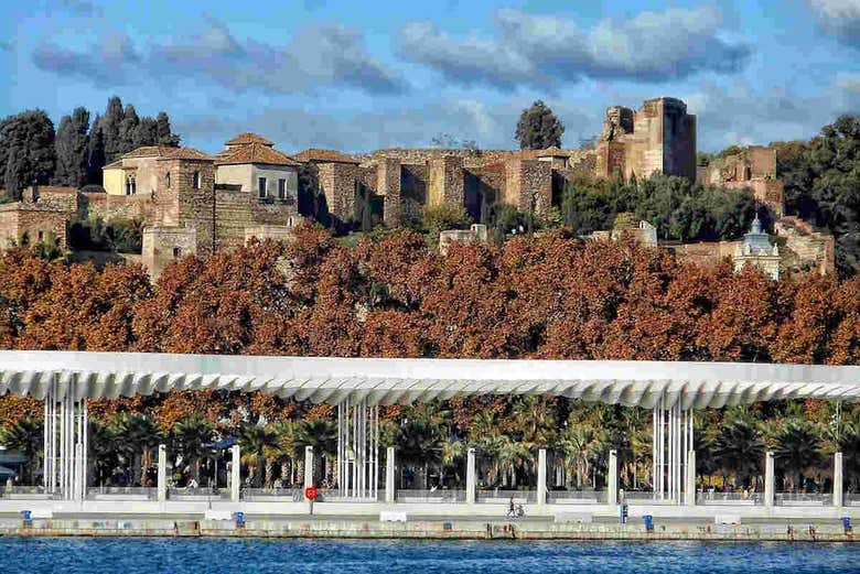 Tour de Málaga al completo con entradas
