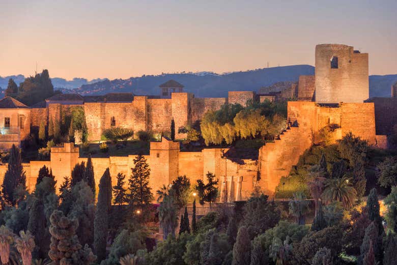 Tour de Málaga al completo con entradas
