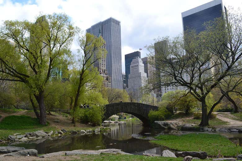 Tour de Nueva York al completo con entradas
