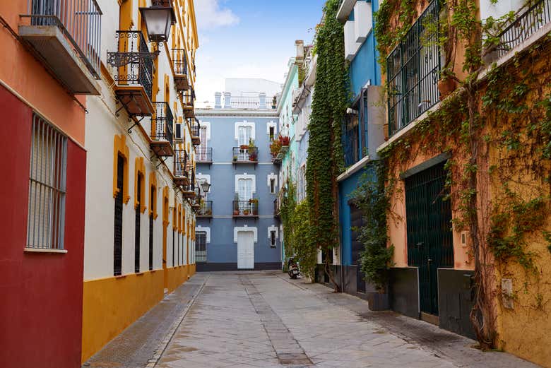 Visita guiada por la Macarena y su museo