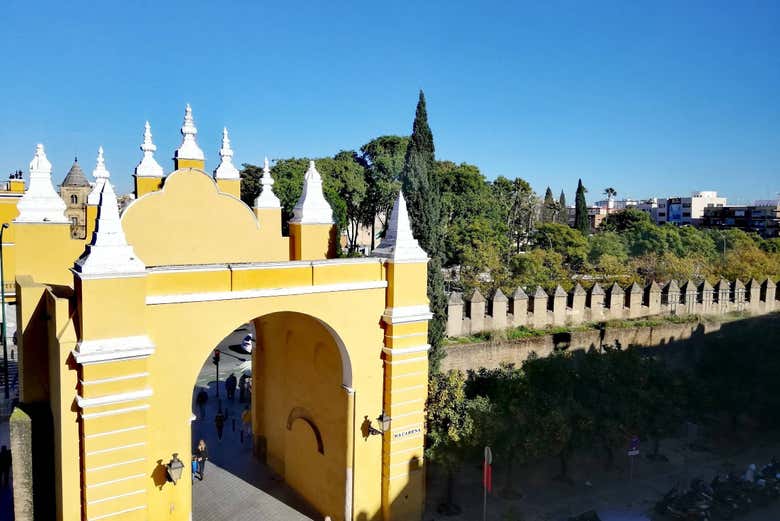 Visita guiada por la Macarena y su museo