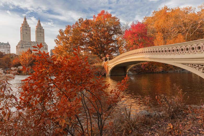 Free tour por Central Park