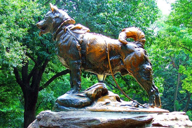Free tour por Central Park