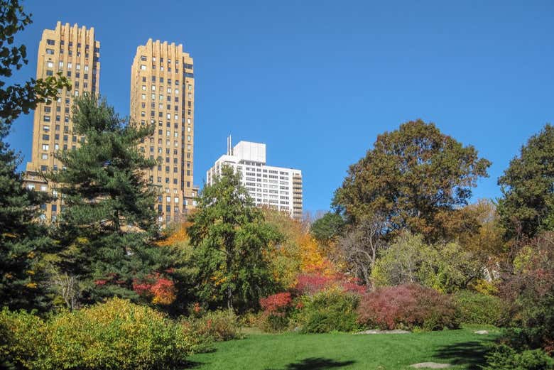 Free tour por Central Park