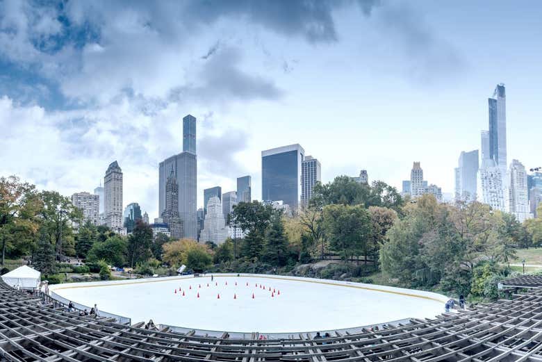 Free tour por Central Park