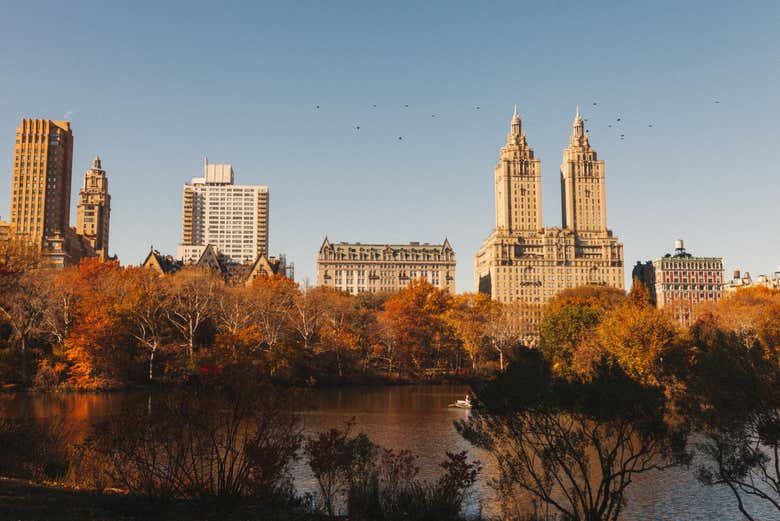 Paseo privado en calesa por Central Park