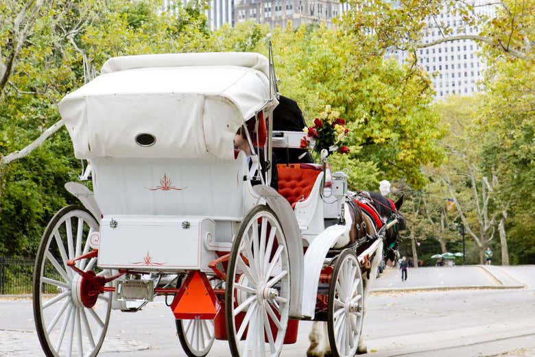 Paseo privado en calesa por Central Park