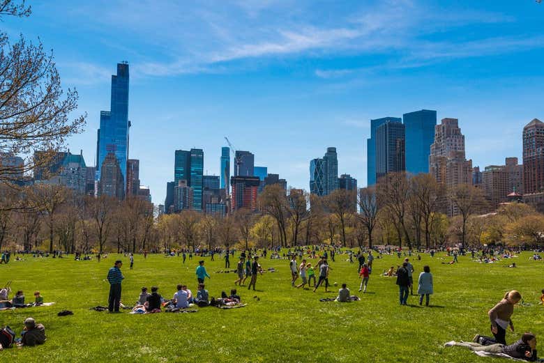 Paseo privado en calesa por Central Park