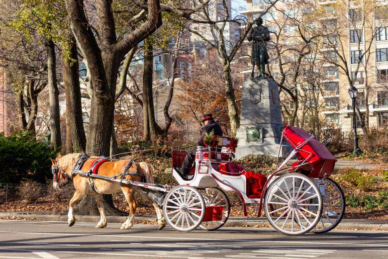 Paseo privado en calesa por Central Park