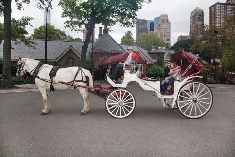 Paseo privado en calesa por Central Park