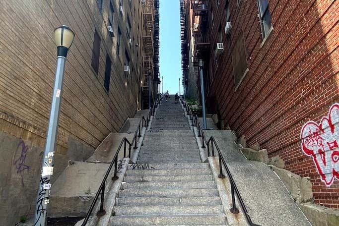 Visita guiada por el Bronx