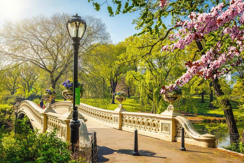 Tour en rickshaw por Central Park
