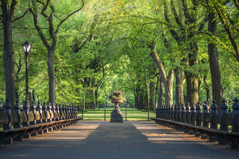 Tour en rickshaw por Central Park