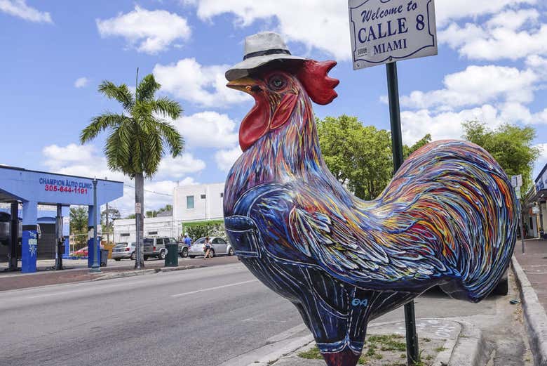 Oferta: Tour de Miami + Everglades + Casas de los famosos