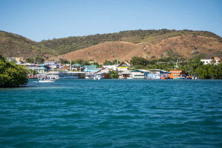 Alquiler de kayak en La Parguera