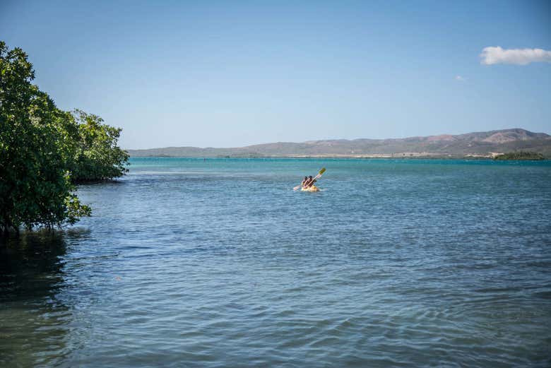 Alquiler de kayak en La Parguera