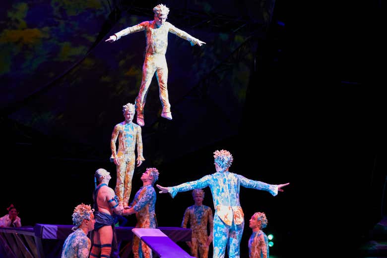 Entradas para Mystère, Circo del Sol