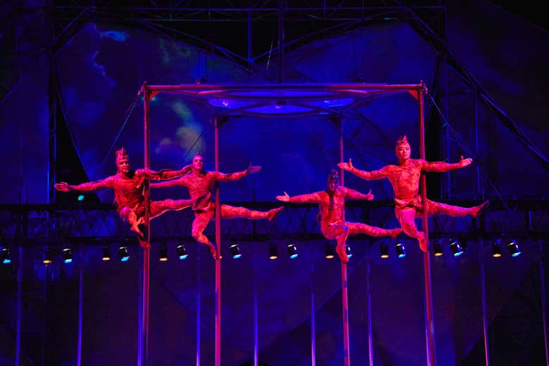 Entradas para Mystère, Circo del Sol