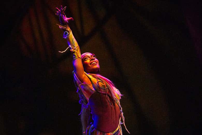 Entradas para Mystère, Circo del Sol