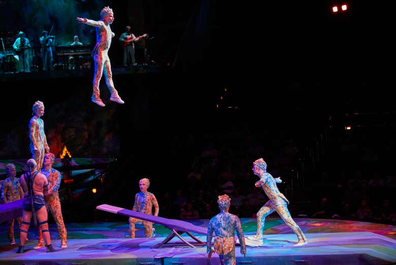 Entradas para Mystère, Circo del Sol